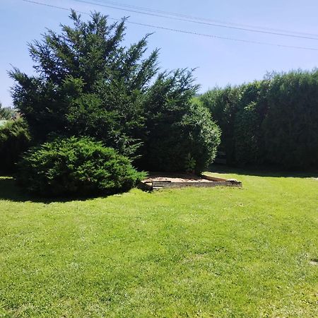 Penzion Kelt Hotel Zator Bagian luar foto
